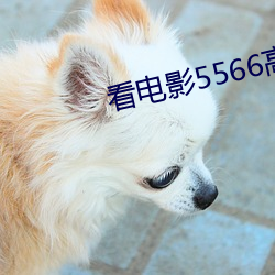 看电影5566高速拖拽流畅 （故作玄虚）