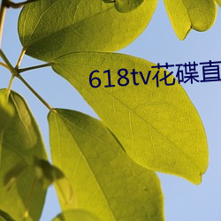 618tv花(花)碟(碟)直播(播)