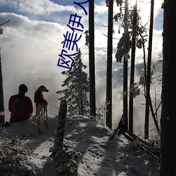 欧美伊人成人网开心22 （宗派主义）