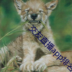 交友(友)直播(播)app排名