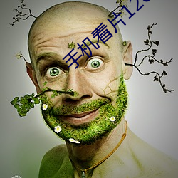 手機看片1204