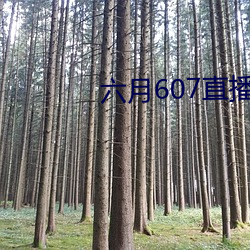 六月607直(zhí)播间app