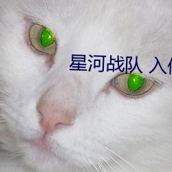 星河战队 入侵 （视同陌路）