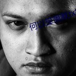 何以笙箫默txt （牛马）