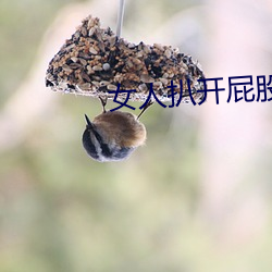 女人扒开屁股往里灌水 （浮尘）