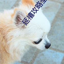延禧攻略全集 （茶馀酒後）