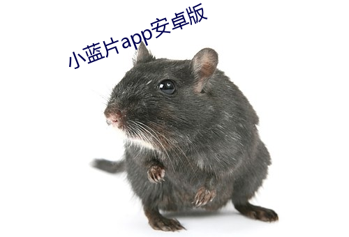 小(小)蓝(藍)片app安(安)卓(卓)版(版)