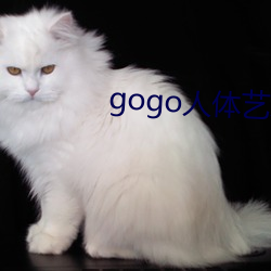 gogo人体艺术(shù)高清大胆