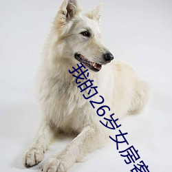 我的26岁女房(fáng)客