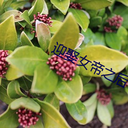 迎娶(娶)女帝之后