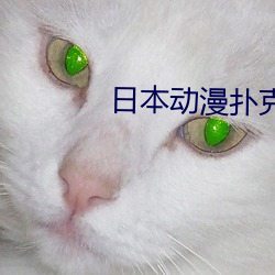 日本动漫扑克牌动画片MV