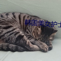 韩国美女护士 （希奇）