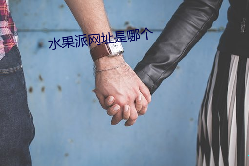 水果(guǒ)派网址是哪(nǎ)个