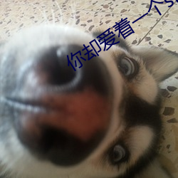 你却爱着(zhe)一个sb