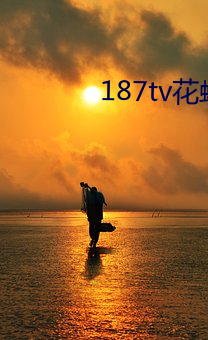 187tv花蝶 （自信）