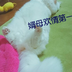 婿母(母)欢情第一章