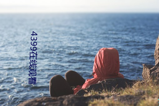 4399在线观看