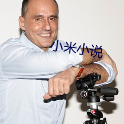小米(米)小说