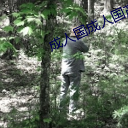 成(chéng)人国成人国产SUV
