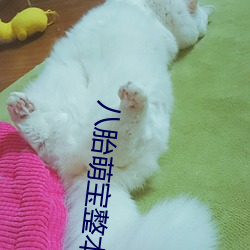 八(bā)胎萌宝整本免(miǎn)费