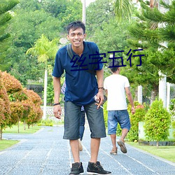 丝字(zì)五行