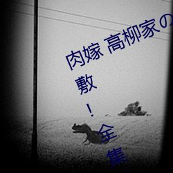 肉嫁 高柳家の人々 其の壱 性狱(yù)の屋敷!全集免费在线观(guān)看