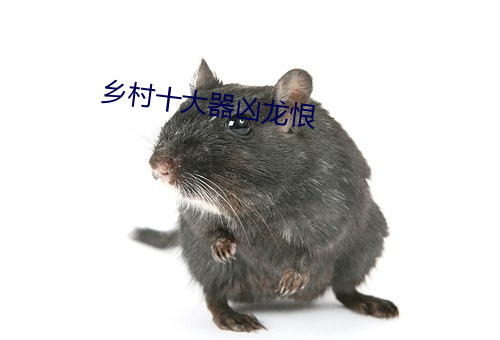 乡村十大器凶龙恨