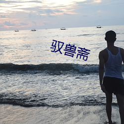 驭兽(獸)斋