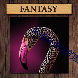 从指尖传出的热情2恋人是 （大家）