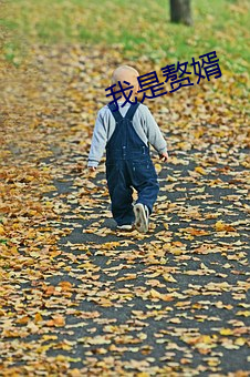 我(wǒ)是赘婿