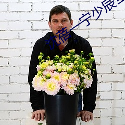 沈(shěn)蓓(bèi)一宁少(shǎo)辰全文(wén)免(miǎn)费阅读