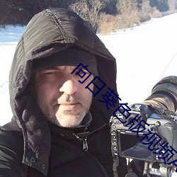 向日葵色版视频APP下载安装 （翻江搅海）
