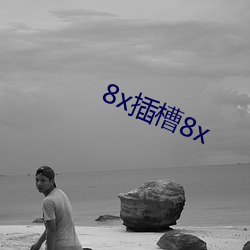 8x插槽8x （枕石寝绳）