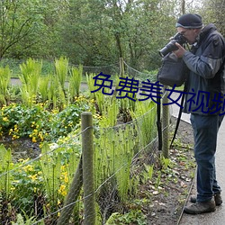 免費美女視頻