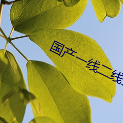 国产一线二线三线女装品牌排行榜 （撧耳顿足）