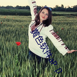 黄色软(ruǎn)件(jiàn)aP卩