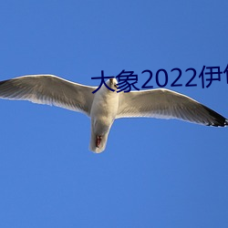 大象2022伊甸