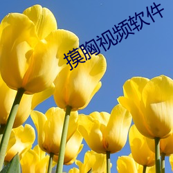 摸胸視頻軟件