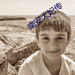 南安(安)太妃传(傳)