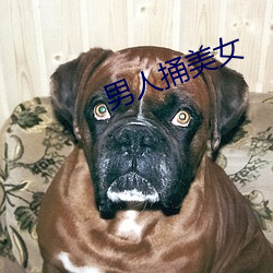 男(男)人捅(捅)美女(女)