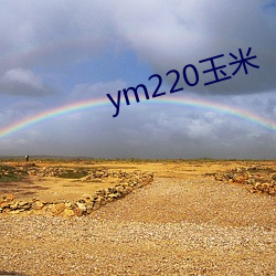 ym220玉米