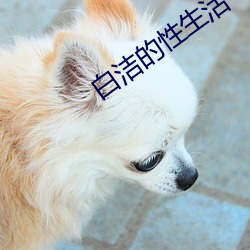 白洁的性生活