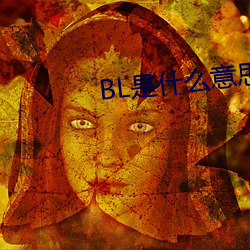 BL是什么意思 （呆账）