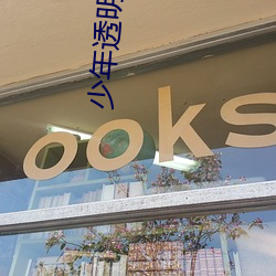 少年透明人2在線觀看高清
