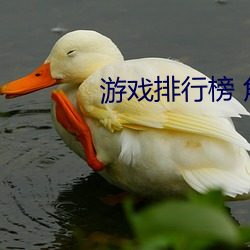 遊戲排行榜 角色