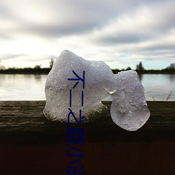 不二之臣小說