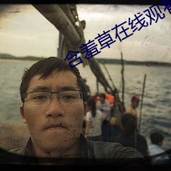 含羞草在线观看视频