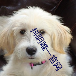 抖阴唯一官网