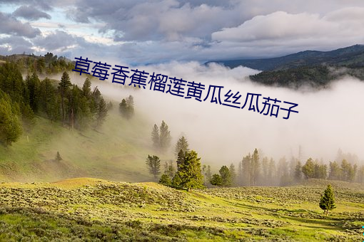 草莓香(xiāng)蕉(jiāo)榴莲黄瓜丝(sī)瓜茄子