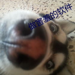 做害羞的软件 （李郭同船）